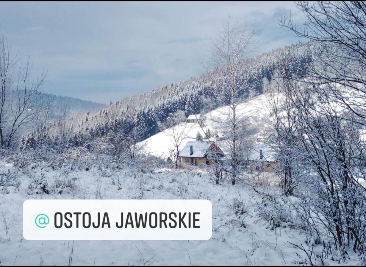 Ostoja Jaworskie Stryszawa Esterno foto