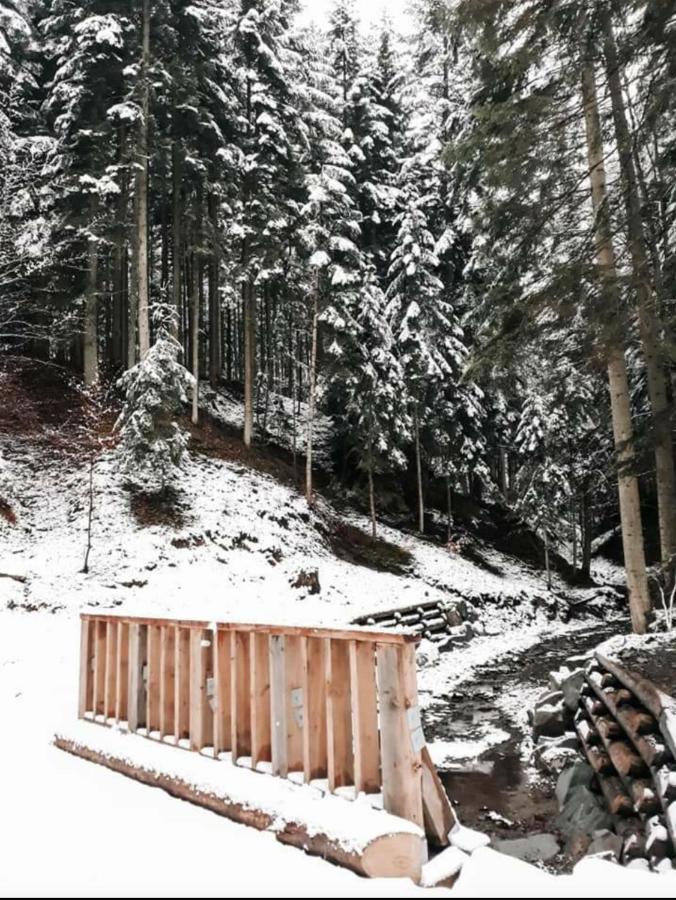 Ostoja Jaworskie Stryszawa Esterno foto
